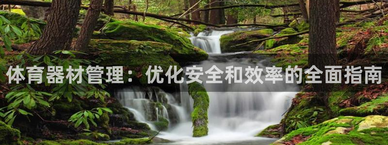 星欧娱乐挂机赚钱是真的吗：体育器材管理：优化安全和效