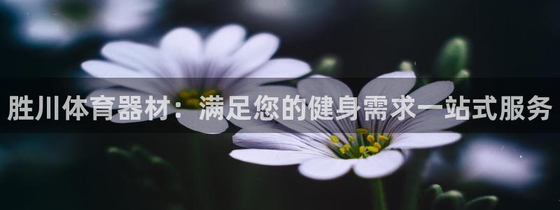 星奥娱乐集团：胜川体育器材：满足您的健身需求一站式服