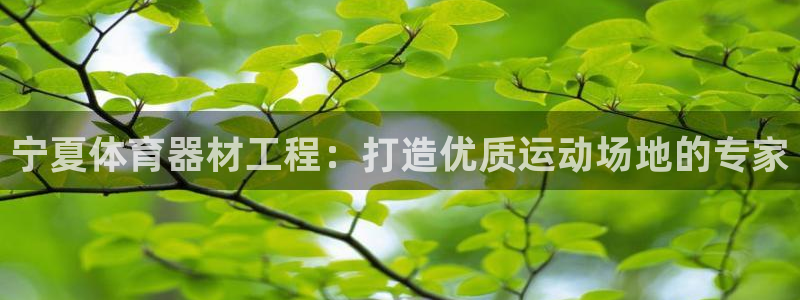 星欧娱乐工客服电话24小时人工服务：宁夏体育器材工程
