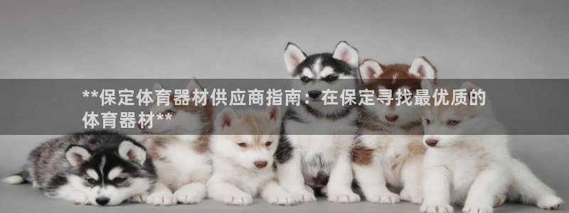 星欧娱乐官网下载安卓：**保定体育器材供应商指南：在