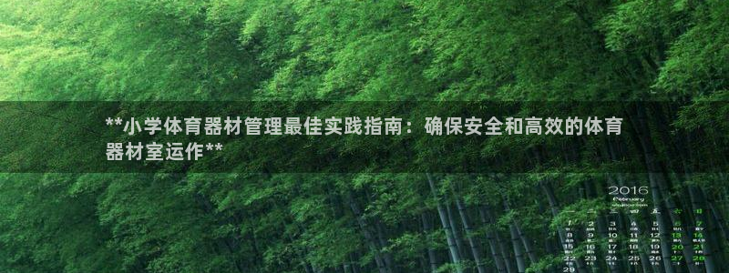 星奥娱乐招聘：**小学体育器材管理最佳实践指南：确保