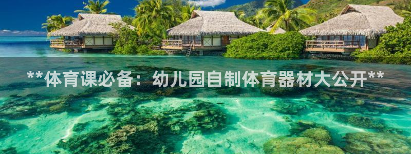 星欧娱乐游戏中心官网登录：**体育课必备：幼儿园自制
