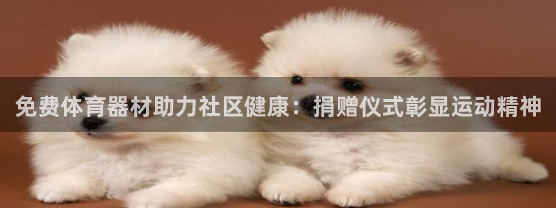 星欧娱乐公司电话号码：免费体育器材助力社区健康：捐赠
