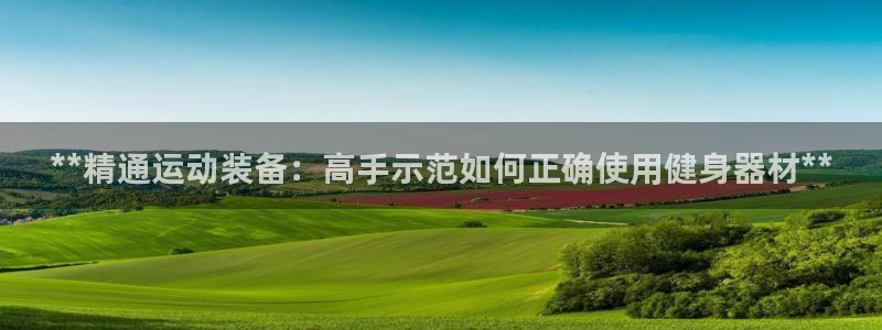 星欧娱乐巴711.112扣费记录查询方法：**精通运