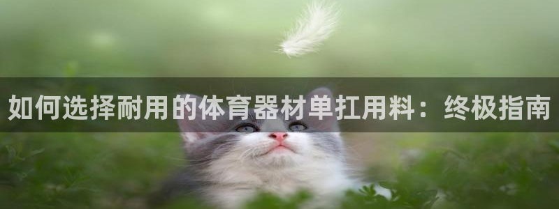 星欧娱乐扣款时间查询方法是什么：如何选择耐用的体育器