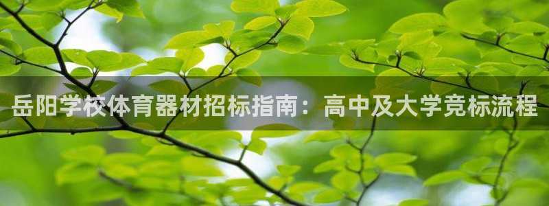 星乐娱乐官网：岳阳学校体育器材招标指南：高中及大学竞