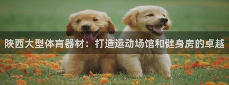 星欧娱乐官方客服联系方式：陕西大型体育器材：打造运动