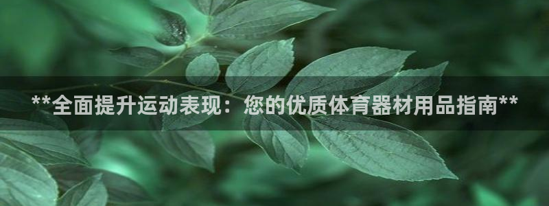 星奥娱乐集团是国企吗：**全面提升运动表现：您的优质