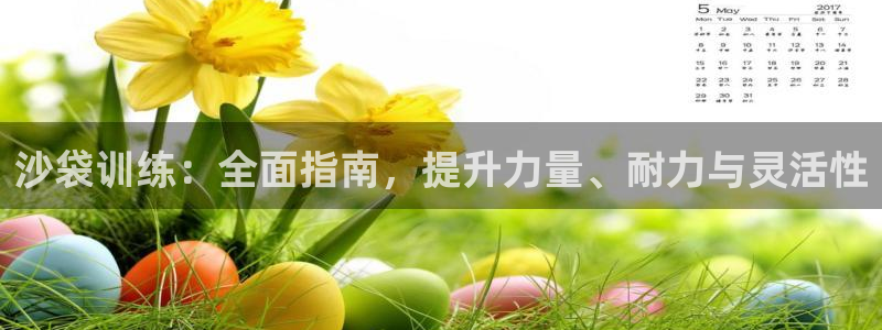 星欧娱乐测速软件下载：沙袋训练：全面指南，提升力量、