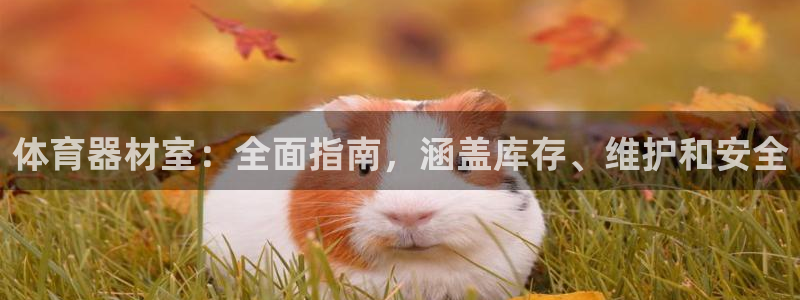 江苏星奥娱乐有限公司招聘：体育器材室：全面指南，涵盖