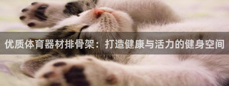 江苏星奥娱乐有限公司怎么样：优质体育器材排骨架：打造