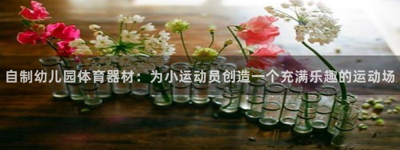 星欧娱乐的创始人背景故事：自制幼儿园体育器材：为小运