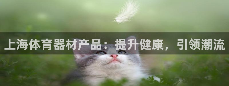 星欧娱乐属于什么档次的软件公司：上海体育器材产品：提