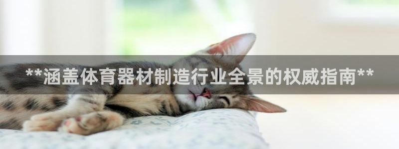 星欧娱乐属于什么档次的公司名称：**涵盖体育器材制造