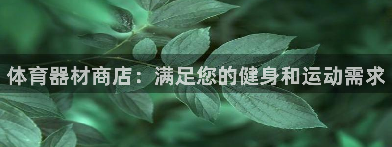 星欧娱乐属于什么档次的公司：体育器材商店：满足您的健