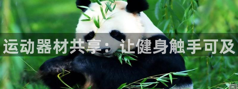 星欧娱乐的官方版本更新内容是什么：运动器材共享：让健