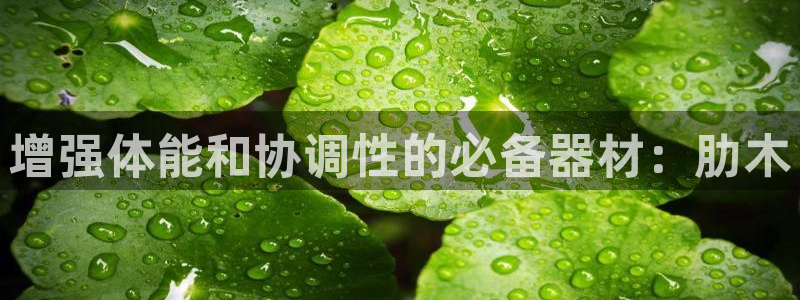 星欧娱乐平台怎么样知乎赚钱吗：增强体能和协调性的必备