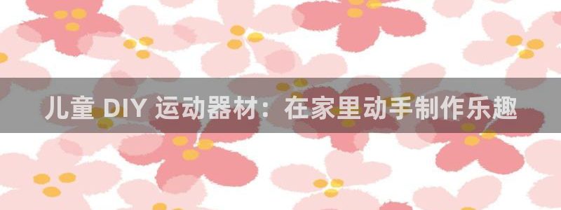 星奥娱乐集团股份有限公司怎么样：儿童 DIY 运动器