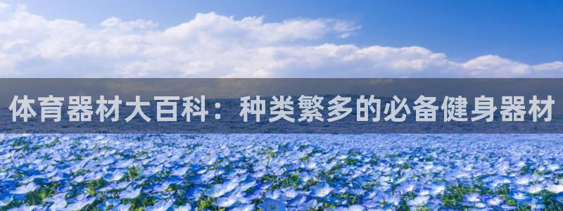 星娱乐online刘亦菲