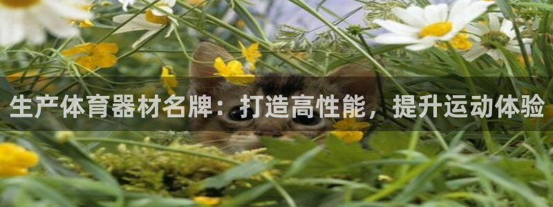 江苏星奥娱乐有限公司报名