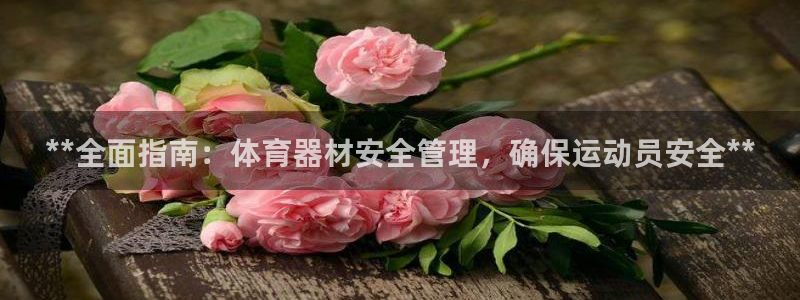 星欧娱乐公司地址