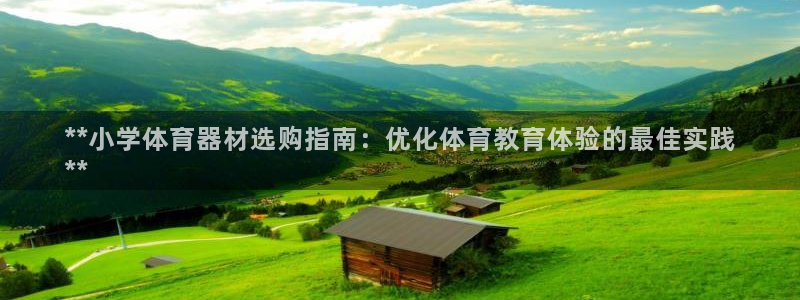 星欧娱乐法711.112怎么扣钱：**小学体育器材选