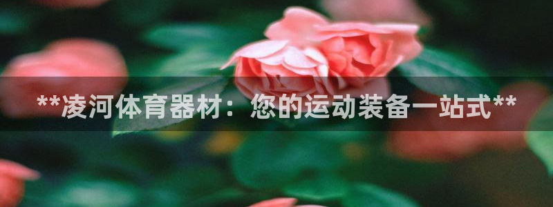 星欧娱乐法最新进展：**凌河体育器材：您的运动装备一