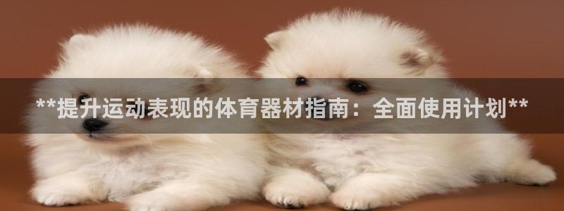 星欧娱乐挂机赚钱软件：**提升运动表现的体育器材指南