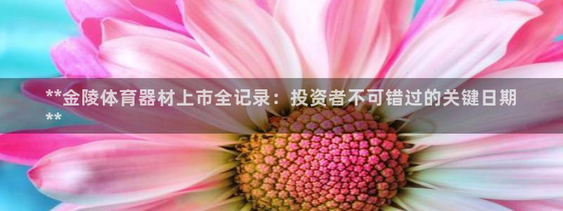 星娱乐online创作的原声胡歌吴磊：**金陵体育器