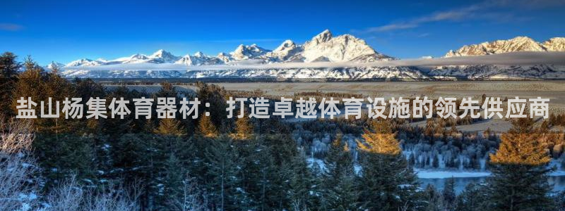 星欧娱乐扣款时间查询方法是什么呢：盐山杨集体育器材：