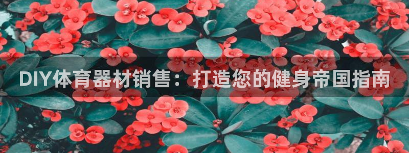星欧娱乐公司怎么样