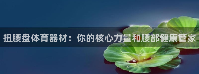 星欧娱乐公司创始人背景故事是什么：扭腰盘体育器材：你