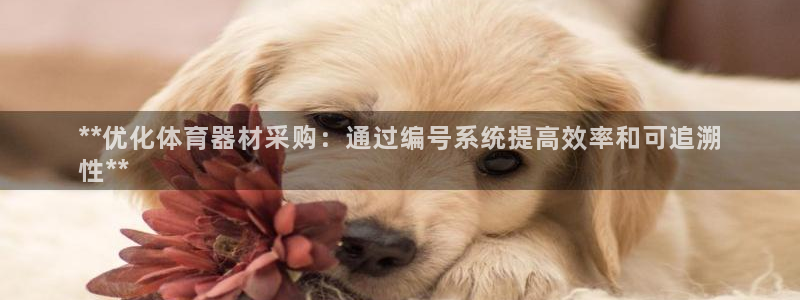 星欧娱乐的官方版本更新内容有哪些：**优化体育器材采