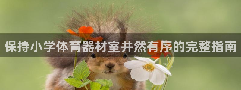 星欧娱乐官网首页下载：保持小学体育器材室井然有序的完