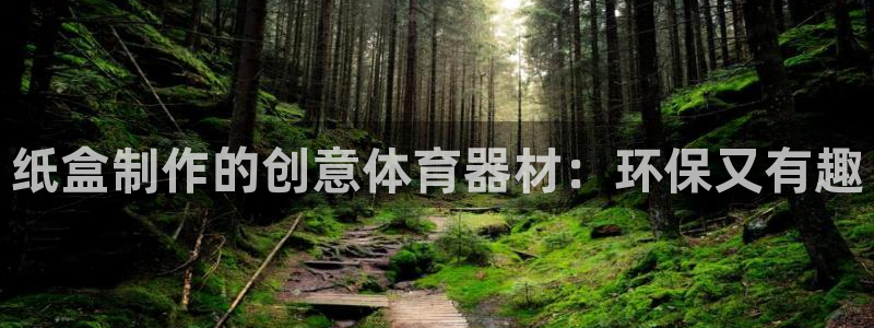 星欧娱乐是正规平台吗可靠吗：纸盒制作的创意体育器材：