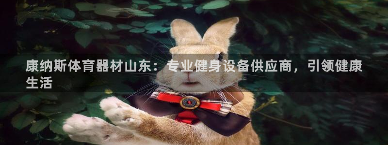 星奥娱乐微博：康纳斯体育器材山东：专业健身设备供应商