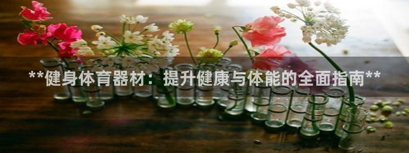 星欧娱乐公司简介：**健身体育器材：提升健康与体能的