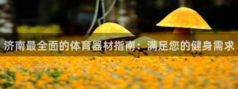 江苏星奥娱乐：济南最全面的体育器材指南：满足您的健身