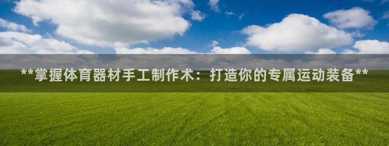 星欧娱乐公司创始人背景故事简介：**掌握体育器材手工制作术：