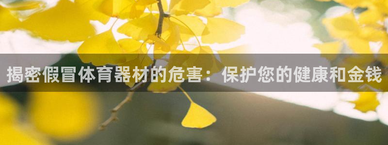星欧娱乐最建议买的三个产品是：揭密假冒体育器材的危害：保护您