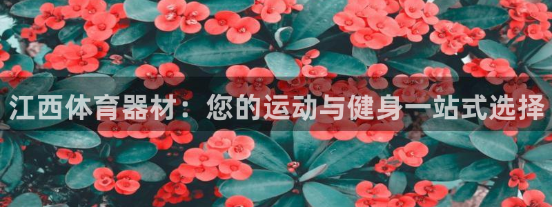 星澳娱乐公司简介
