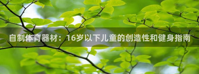 星欧娱乐平台怎么样可靠吗