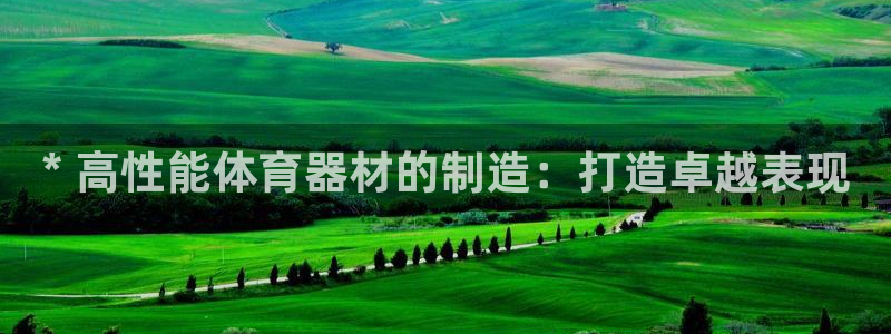 星欧娱乐属于什么档次的公司名称：* 高性能体育器材的