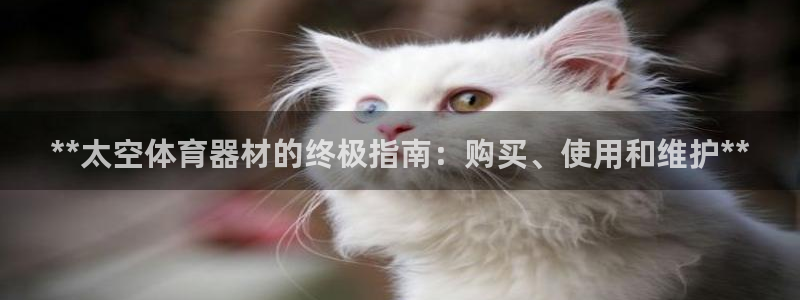 星欧娱乐最建议买的三个产品是：**太空体育器材的终极