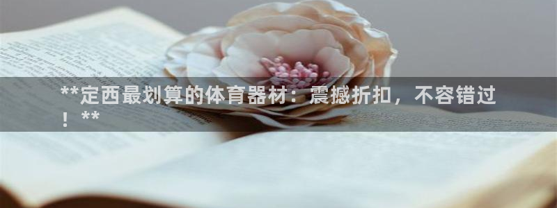 星欧娱乐扣款流程详解图：**定西最划算的体育器材：震撼折扣，
