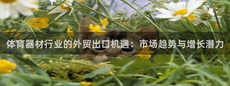 星澳娱乐公司