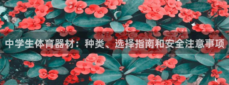 星欧娱乐平台怎么样知乎：中学生体育器材：种类、选择指南和安全 