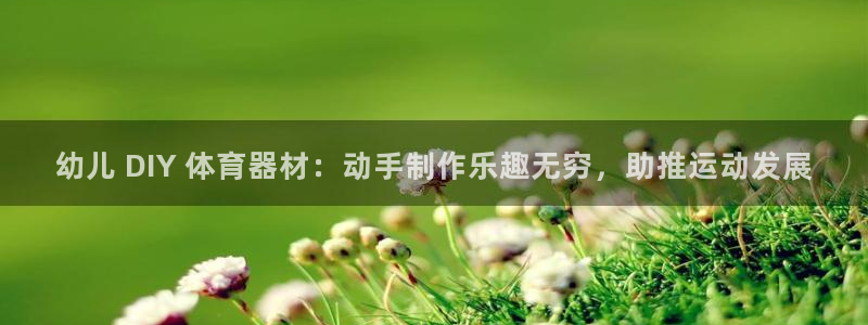 星欧娱乐最建议买的三个产品是什么：幼儿 DIY 体育器材：动