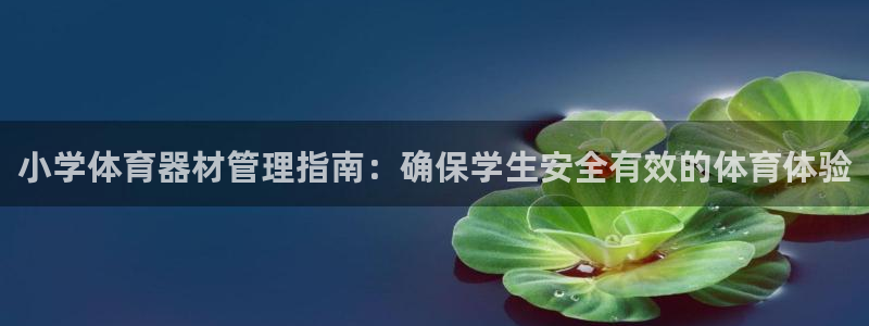 星奥娱乐集团股份有限公司怎么样