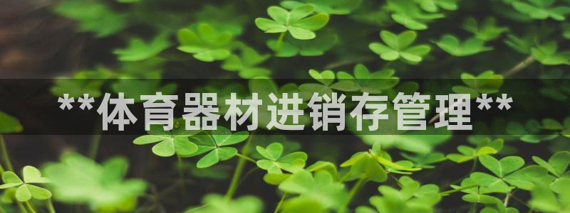 星欧娱乐扣款流程详解图片：**体育器材进销存管理**